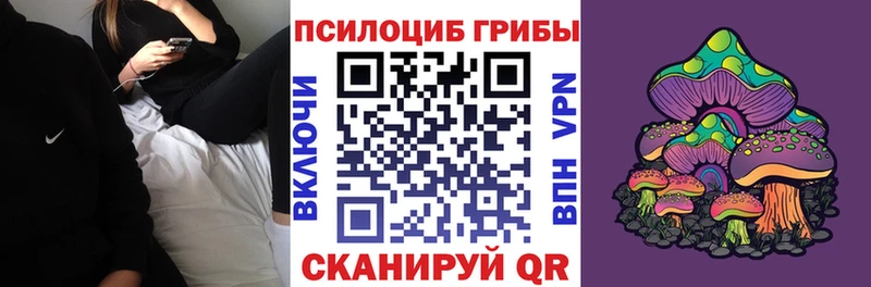 shop состав  МЕГА вход  Бологое  магазин продажи наркотиков  Галлюциногенные грибы мухоморы 